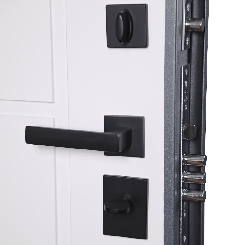 Входная дверь Вегас