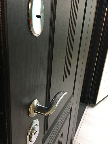 Входная дверь Консул