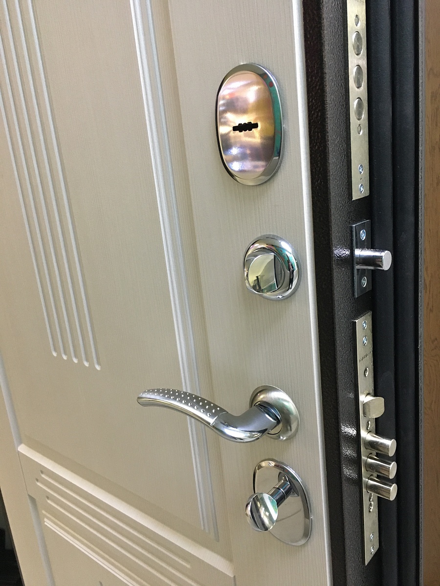 Входная дверь Консул