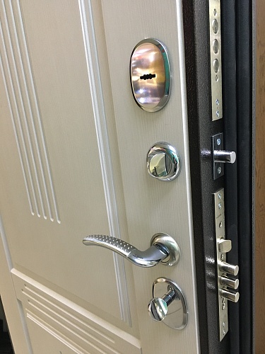 Входная дверь Консул