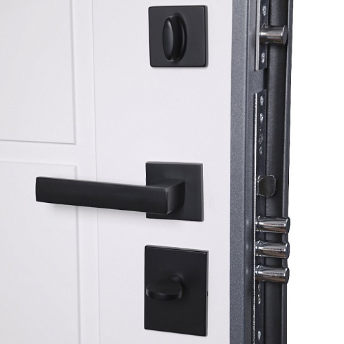 Входная дверь Вегас