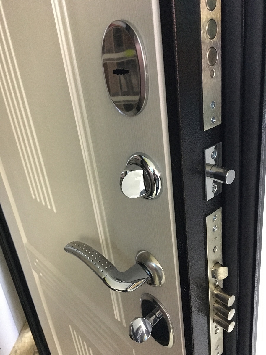 Входная дверь Консул