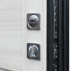 Входная дверь Техно