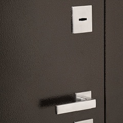 Входная дверь Лидер