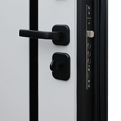 Входная дверь Ньюкасл