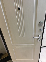 Входная дверь Консул