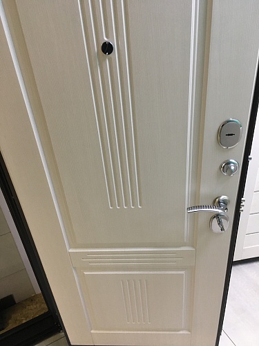 Входная дверь Консул