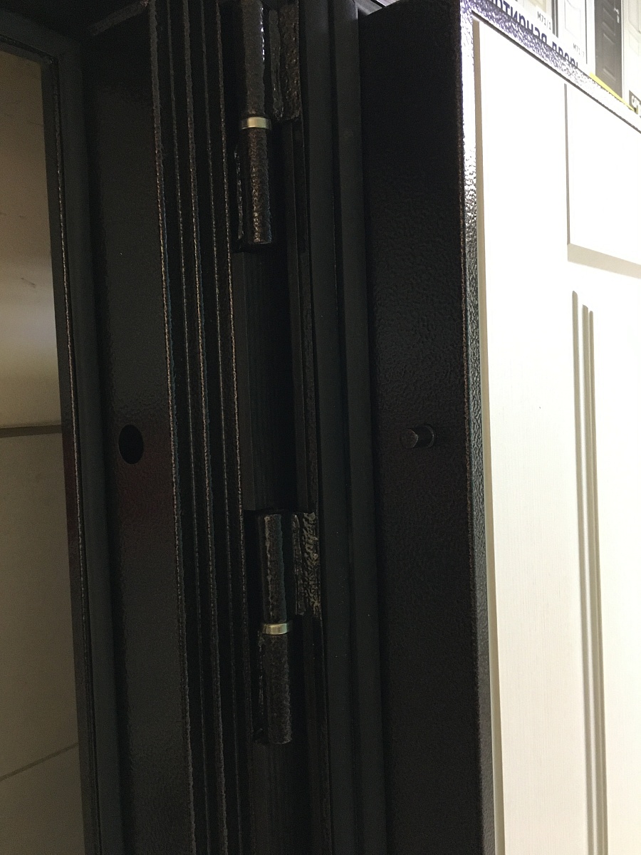 Входная дверь Консул