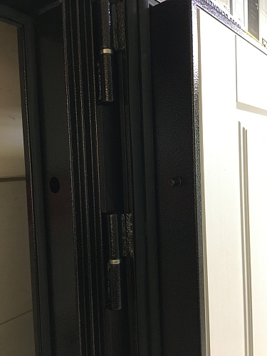 Входная дверь Консул