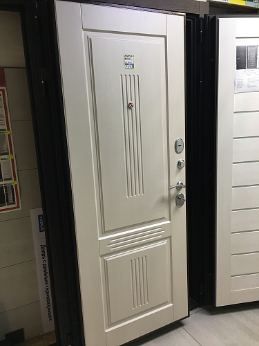 Входная дверь Консул